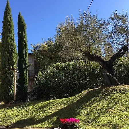 All'ombra Del Cicibricco Tatil Evi